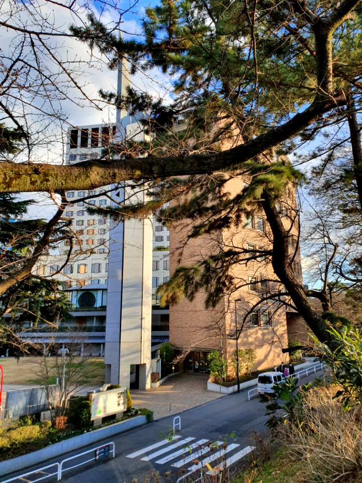 Jesuit Social Center