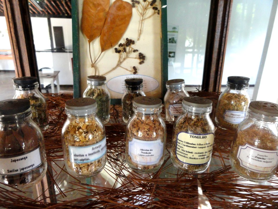 Jars - Herbário Ezechias Paulo Heringer - DSC09785