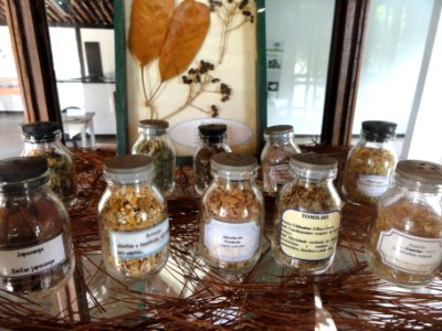 Jars - Herbário Ezechias Paulo Heringer - DSC09785