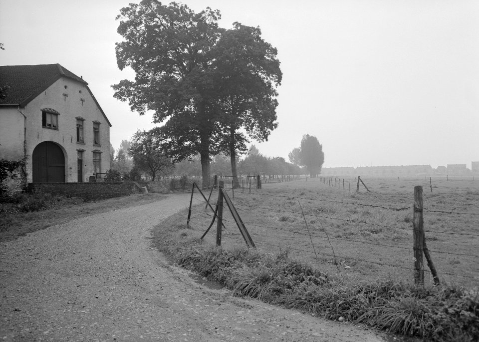Jekerdal. Pietersberg, Bestanddeelnr 163-0501
