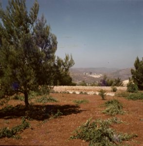 Jeruzalem Hadassah universitair medisch centrum gezien vanaf een heuvel, Bestanddeelnr 255-9293