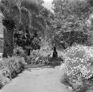 Jeruzalem, Garden of the Tomb, buiten de oude stad bij de Damascuspoort gelege, Bestanddeelnr 255-1684