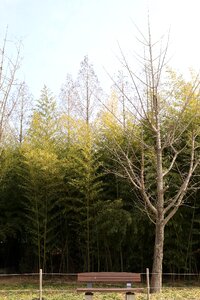 Nature walk landscape