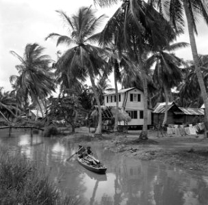 Javaanse kampong in de Van Drimmelenpolder in Nickerie, Bestanddeelnr 252-5527