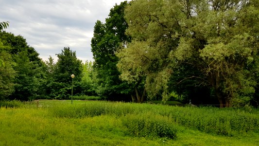 Jette-Romeinse villa (7)