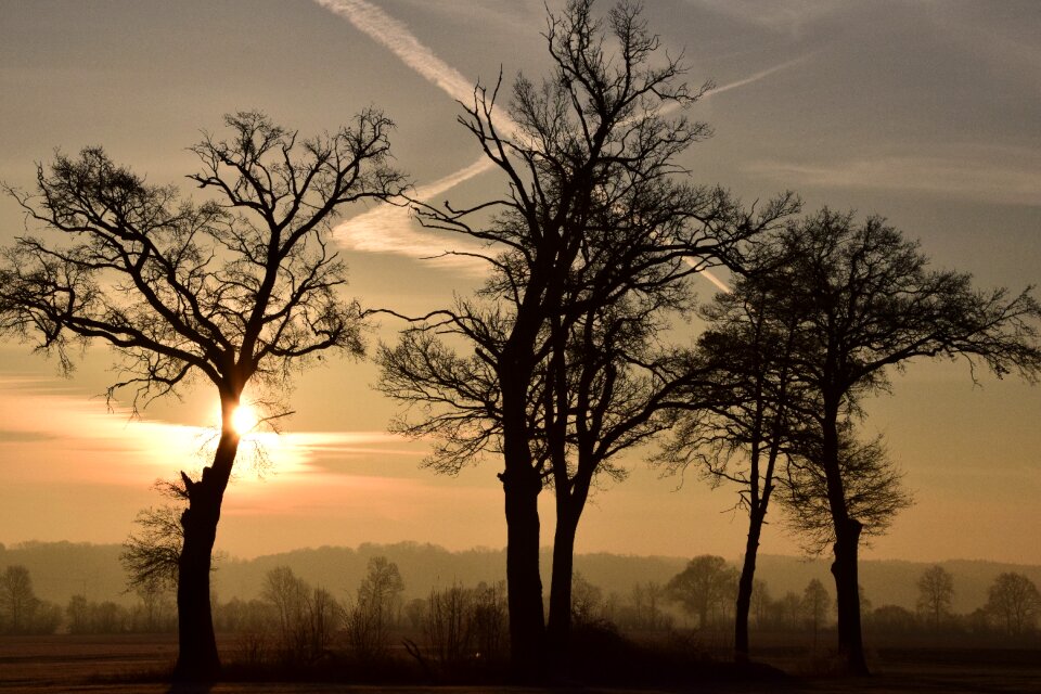 Sunrise morning awakening