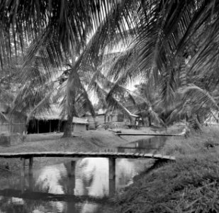 Javaanse kampong, waarschijnlijk in Nickerie, Bestanddeelnr 252-5518