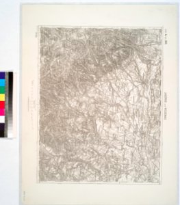 Jauernig und Weidenau. NYPL1226296