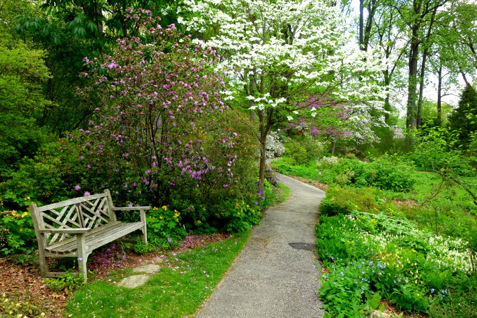 Jenkins Arboretum - DSC00689