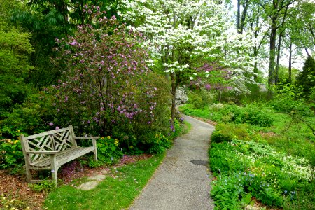 Jenkins Arboretum - DSC00689