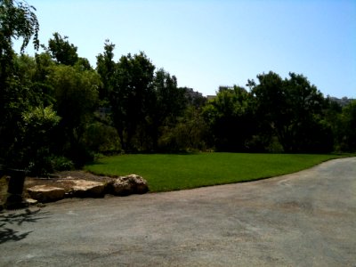 Jerusalem Botanical Gardens 0461