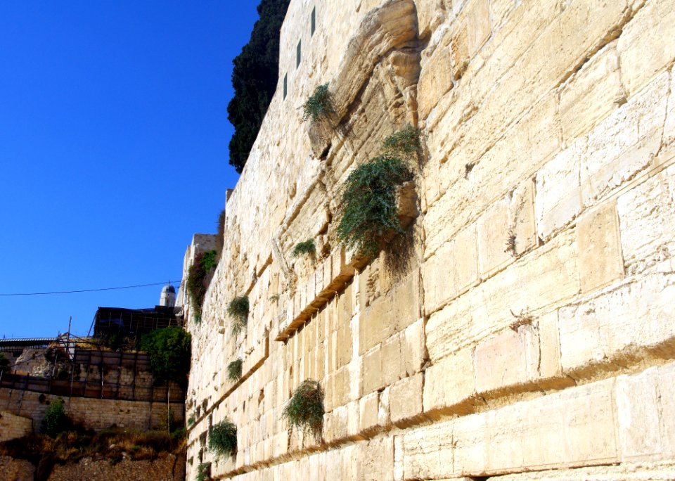 Jerusalem 08.08.2011 13-47-01