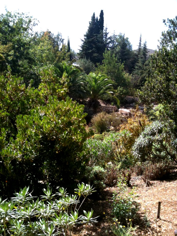 Jerusalem Botanical Gardens IMG 0471