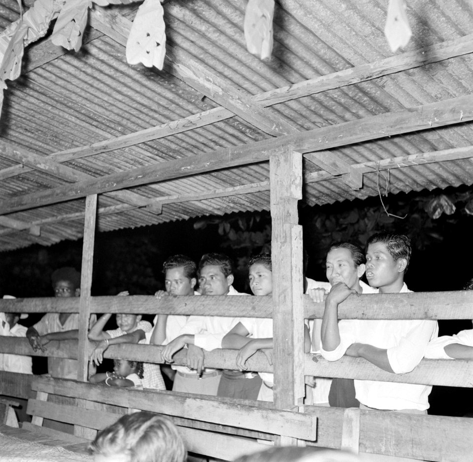 Javaans feest in Paramaribo, Bestanddeelnr 252-2596
