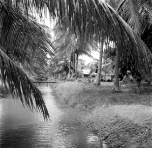 Javaanse kampong, waarschijnlijk in Nickerie, Bestanddeelnr 252-5521