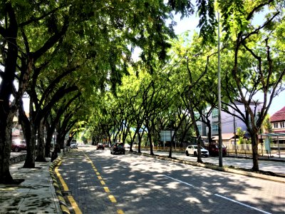 Jalan Burhanuddin Helmi 1