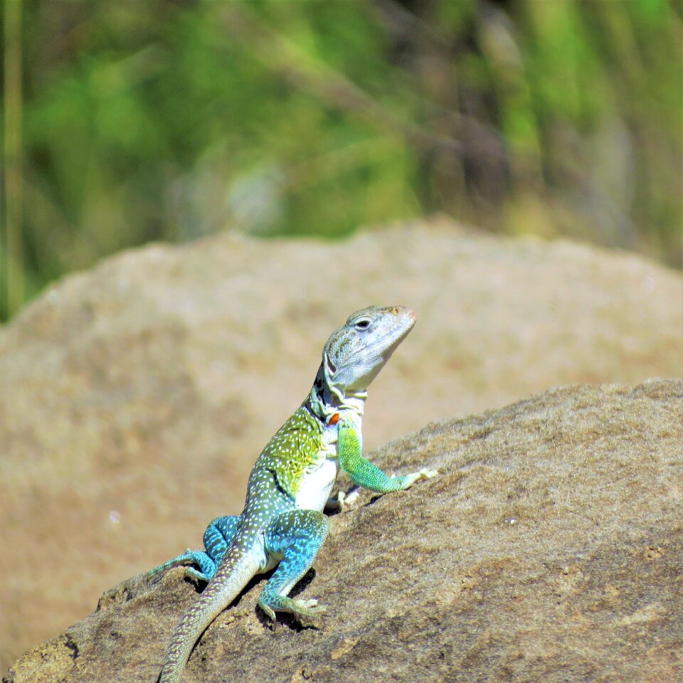 Colorful hiking north texas