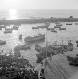 Jaffa. Visserboten verlaten de kleine haven bij zonsondergang, Bestanddeelnr 255-2969