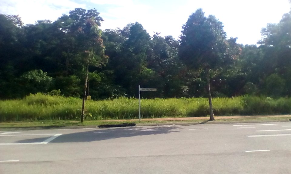 Jalan Rimba Riang 9, Kota Damansara (01)