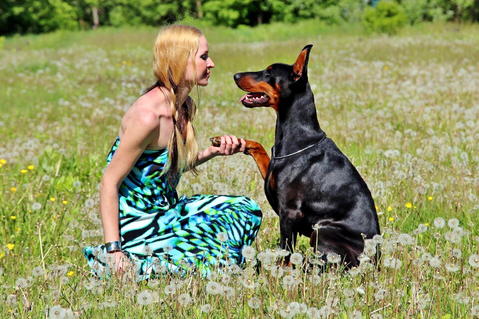 Friendship love field