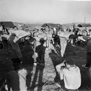Jamboree 1963 te Marathon Griekenland Hollandkamp in Nederlands kamp oa met D, Bestanddeelnr 915-4196