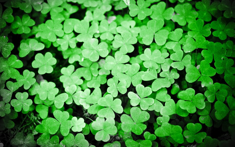 Patrick holiday leaf