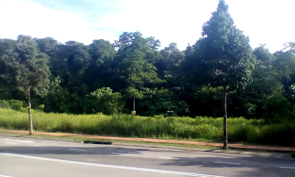 Jalan Rimba Riang 9, Kota Damansara (02)