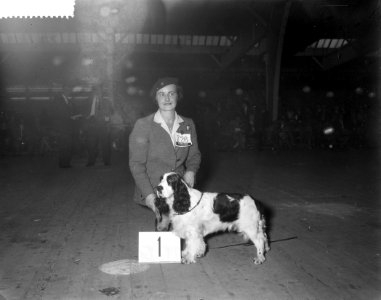 Jaarlijkse hondententoonstelling Winner 1959 in de RAI, Bestanddeelnr 910-2917