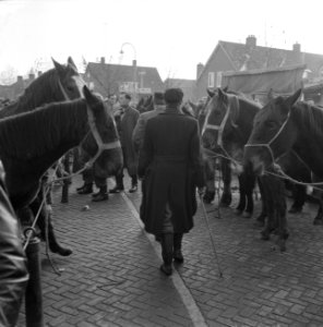 Jaarlijkse paardenmarkt te Hedel, Bestanddeelnr 911-7470