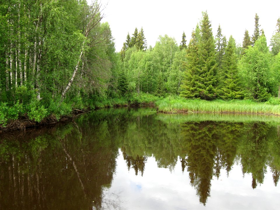 Jaalankajoki at Sosinoja