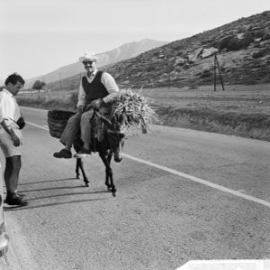 Jamboree 1963 te Marathon Griekenland Griekse boer in landschap, Bestanddeelnr 915-4219