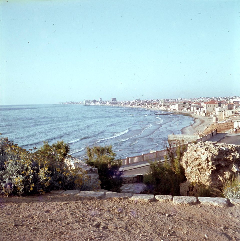 Jaffa Gezicht op een deel van de stad en de baai, Bestanddeelnr 255-9370