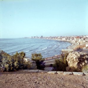 Jaffa Gezicht op een deel van de stad en de baai, Bestanddeelnr 255-9370