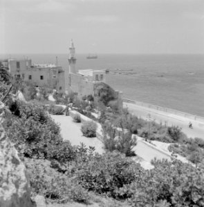 Jaffa. Gezicht vanaf een terras op een stadswijk direct aan zee met een moskee m, Bestanddeelnr 255-2967