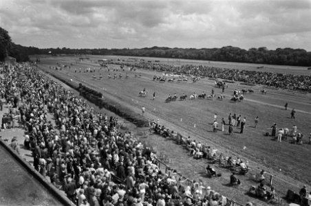 Jaarlijkse Dag van het paard op Duindigt overzicht, Bestanddeelnr 929-2758