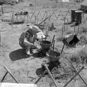 Jamboree 1963 te Marathon Griekenland Koken op houtskool Londense jongens, Bestanddeelnr 915-4326