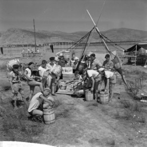 Jamboree 1963 te Marathon Griekenland Nederlanders de Groep Z-Holland met maatj, Bestanddeelnr 915-4329