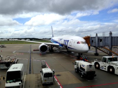 JA814A Narita 20130904
