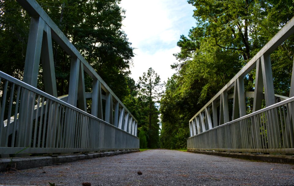Trail nature outdoor