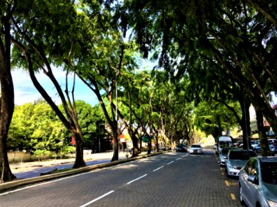 Jalan Burhanuddin Helmi 4
