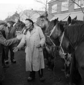 Jaarlijkse paardenmarkt te Hedel, Bestanddeelnr 911-7471