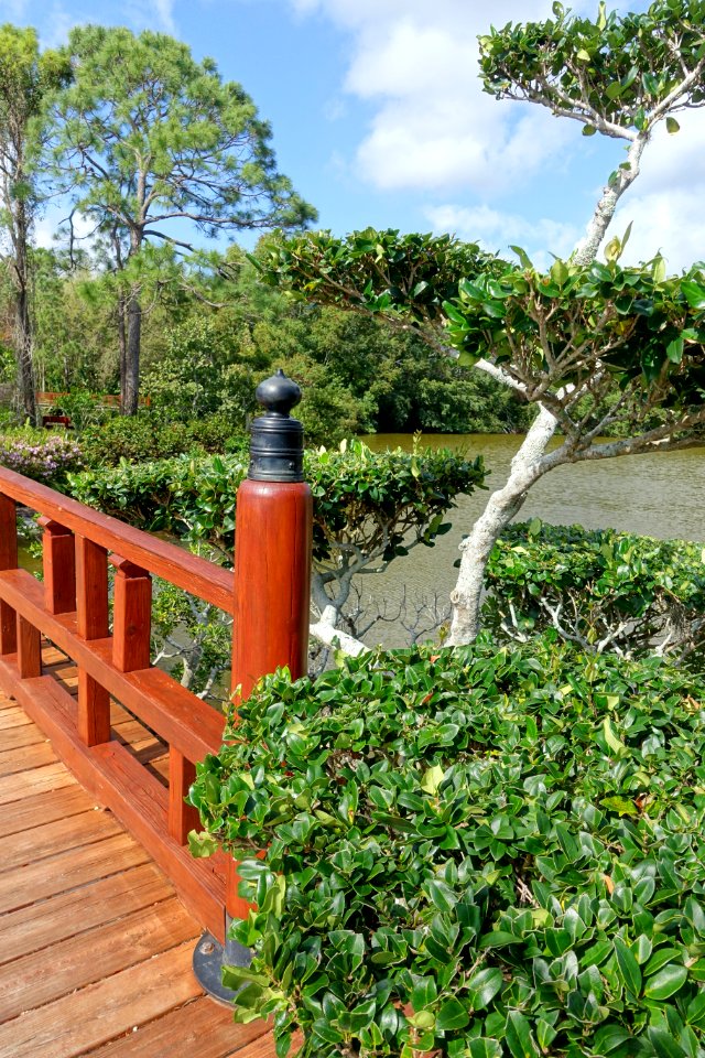 James and Hazel Gates Woodruff Memorial Bridge, detail - Morikami Museum and Japanese Gardens - Palm Beach County, Florida - DSC03302