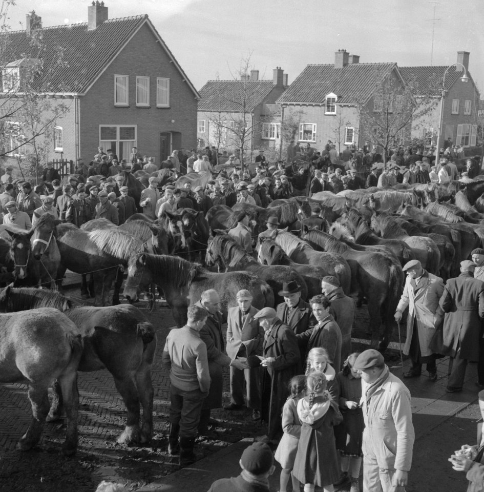 Jaarlijkse paardenmarkt te Hedel, Bestanddeelnr 911-7475