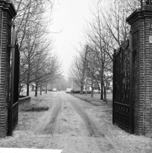 Jacob Catshuis Sorghvliet, oprijlaan, Bestanddeelnr 916-1050