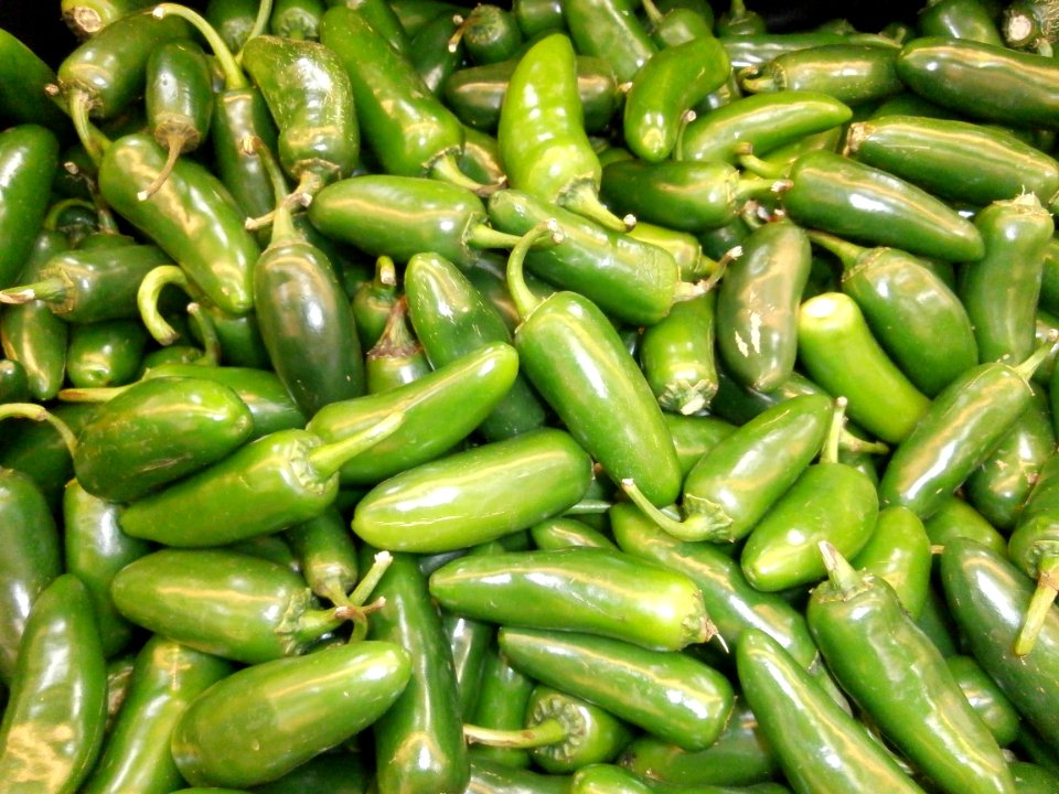 Jalapeño pile photo