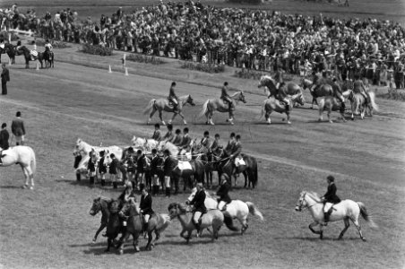 Jaarlijkse Dag van het paard op Duindigt toeschouwers bekijken shows met hack, Bestanddeelnr 929-2756