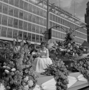 Jaarlijkse bloemencorso te Rotterdam, Bestanddeelnr 911-5185