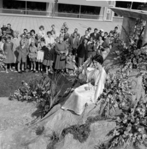 Jaarlijkse bloemencorso te Rotterdam, Bestanddeelnr 911-5190