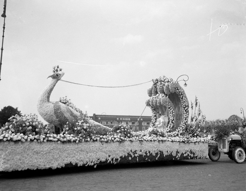 Jaarlijks bloemencorso stadion Amsterdam, Bestanddeelnr 906-6992