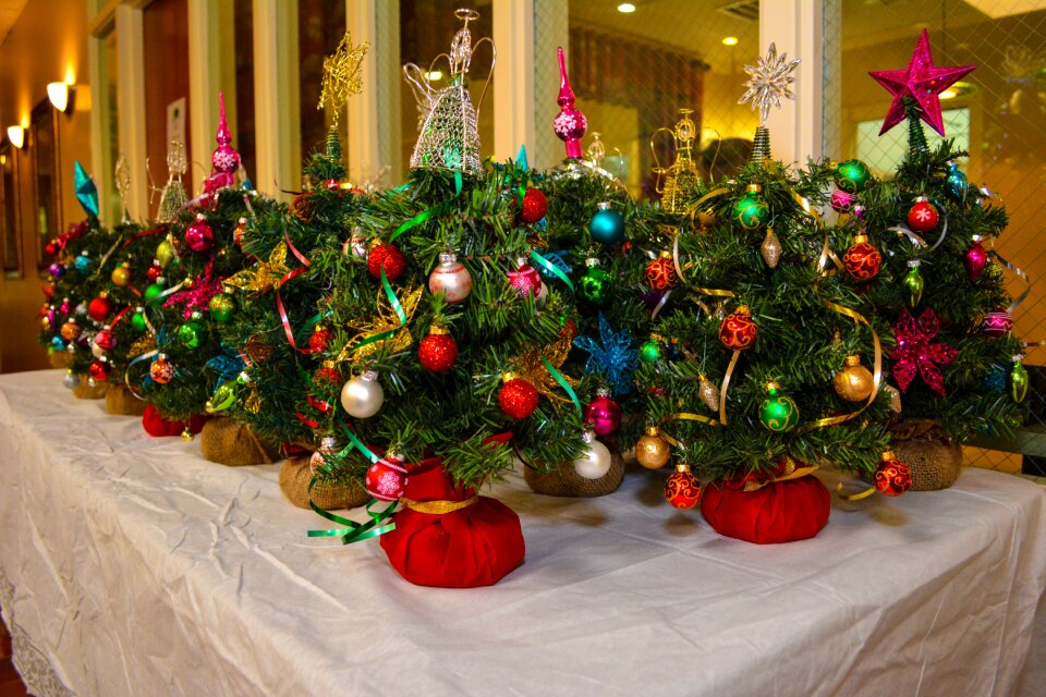Christmas decoration holiday season